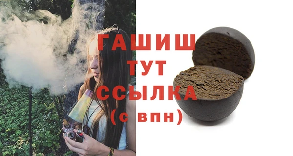 хмурый Бородино